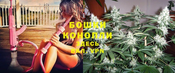мдпв Каменка