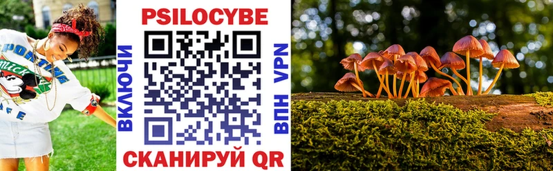 Галлюциногенные грибы прущие грибы  ОМГ ОМГ вход  Петушки 