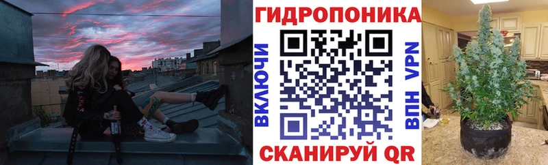 МАРИХУАНА SATIVA & INDICA цены наркотик blacksprut рабочий сайт Петушки